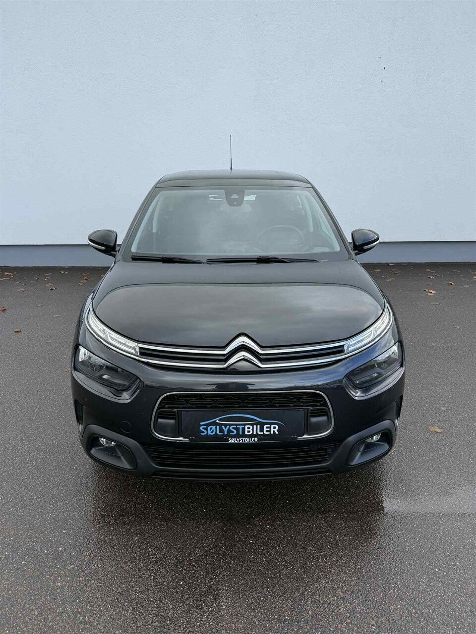 Billede af Citroën C4 Cactus 1,2 PureTech Platinum EAT6 110HK 5d 6g Aut.