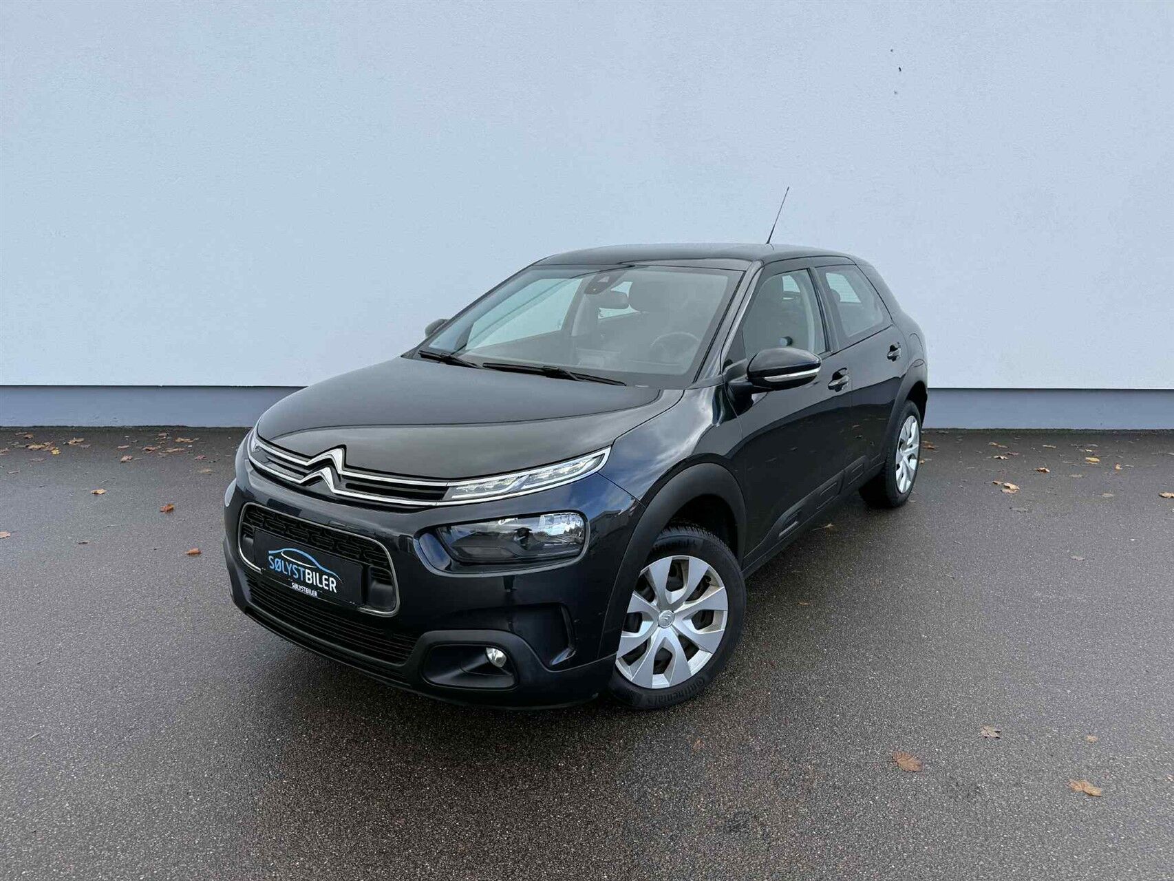 Billede af Citroën C4 Cactus 1,2 PureTech Platinum EAT6 110HK 5d 6g Aut.