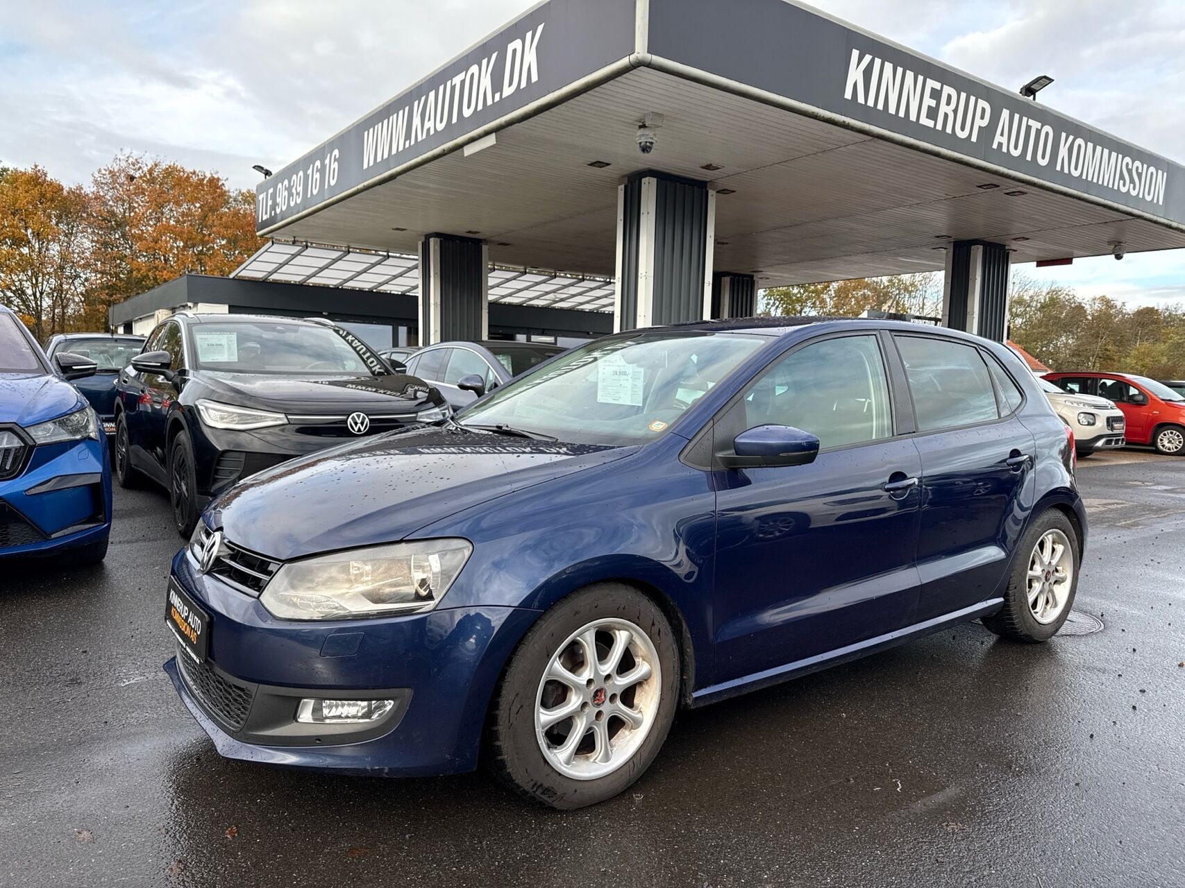 Billede af VW Polo 1,6 BlueMotion TDI DPF Comfortline 90HK 5d