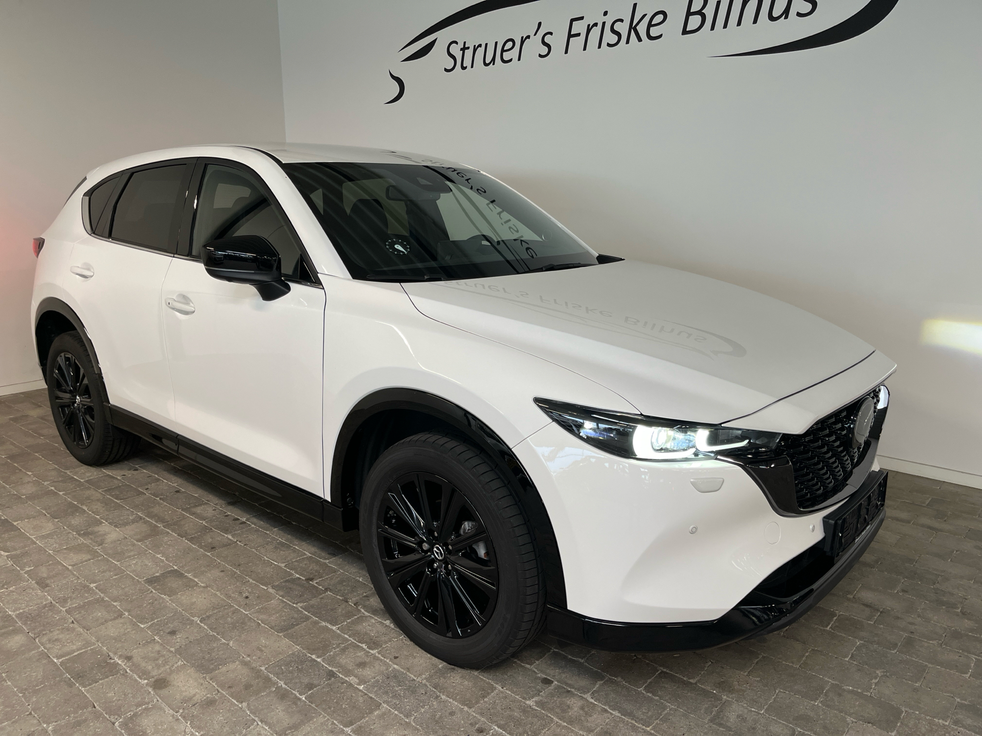 Billede af Mazda CX-5 2,0 e-Skyactiv-G  Mild hybrid Homura 165HK 5d 6g Aut.