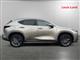 Billede af Lexus NX 450h+ 2,5 Plugin-hybrid Business Plus 4WD 309HK 5d Trinl. Gear