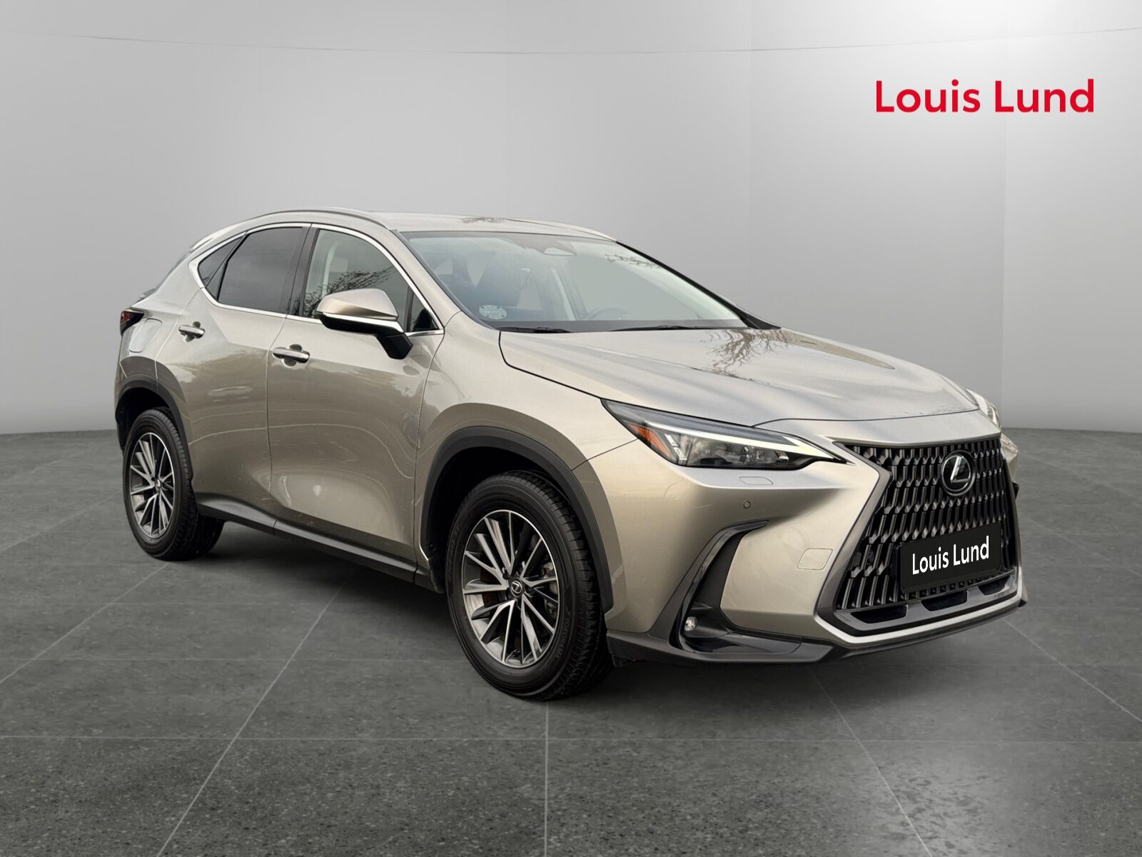 Billede af Lexus NX 450h+ 2,5 Plugin-hybrid Business Plus 4WD 309HK 5d Trinl. Gear