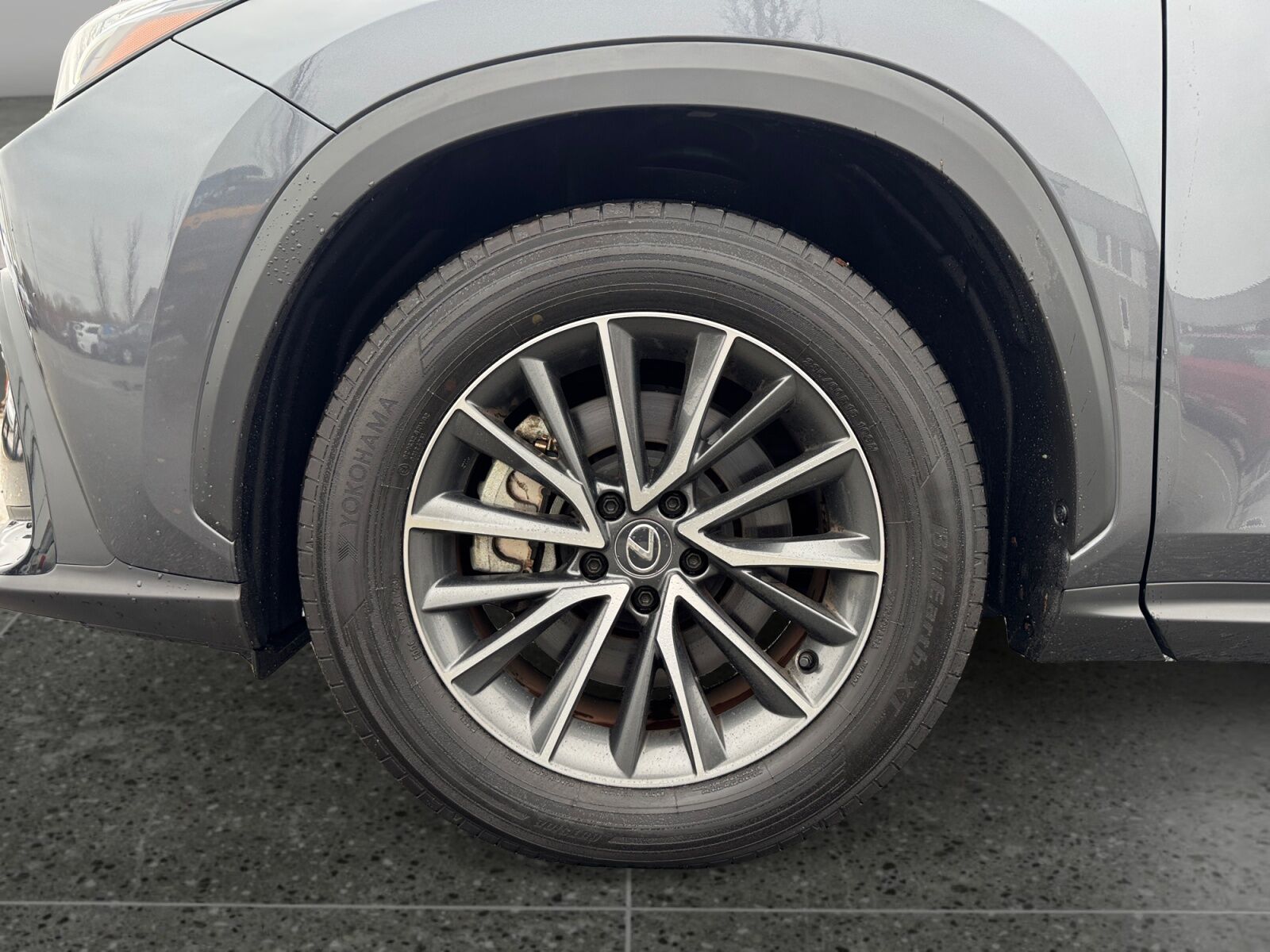 Billede af Lexus NX 450h+ 2,5 Plugin-hybrid Business Plus 4WD 309HK 5d Trinl. Gear