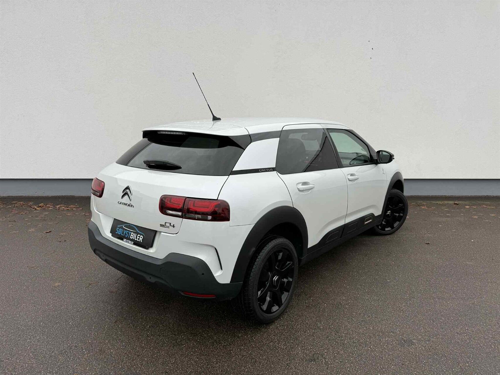 Billede af Citroën C4 Cactus 1,2 PureTech Origins 110HK 5d 6g