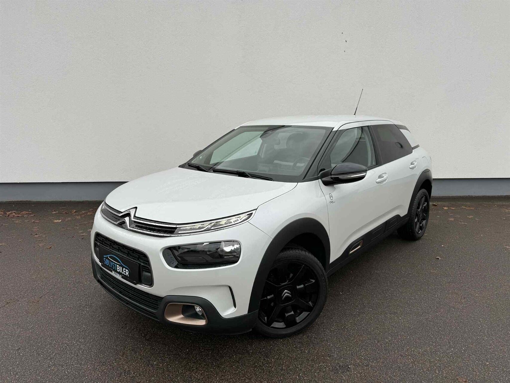 Billede af Citroën C4 Cactus 1,2 PureTech Origins 110HK 5d 6g