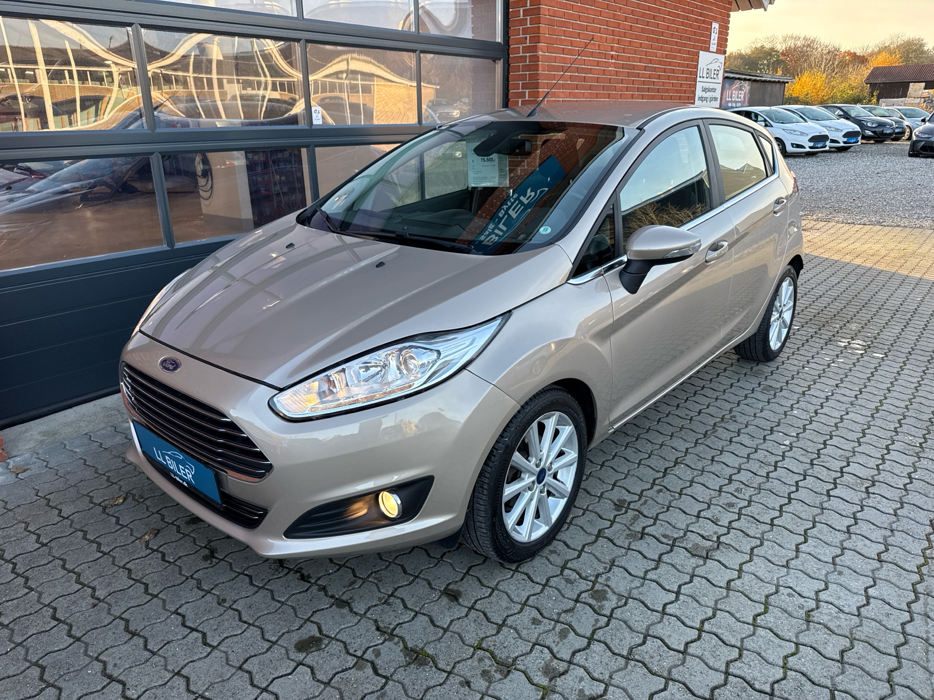 Billede af Ford Fiesta 1,0 EcoBoost Titanium Start/Stop 100HK 5d