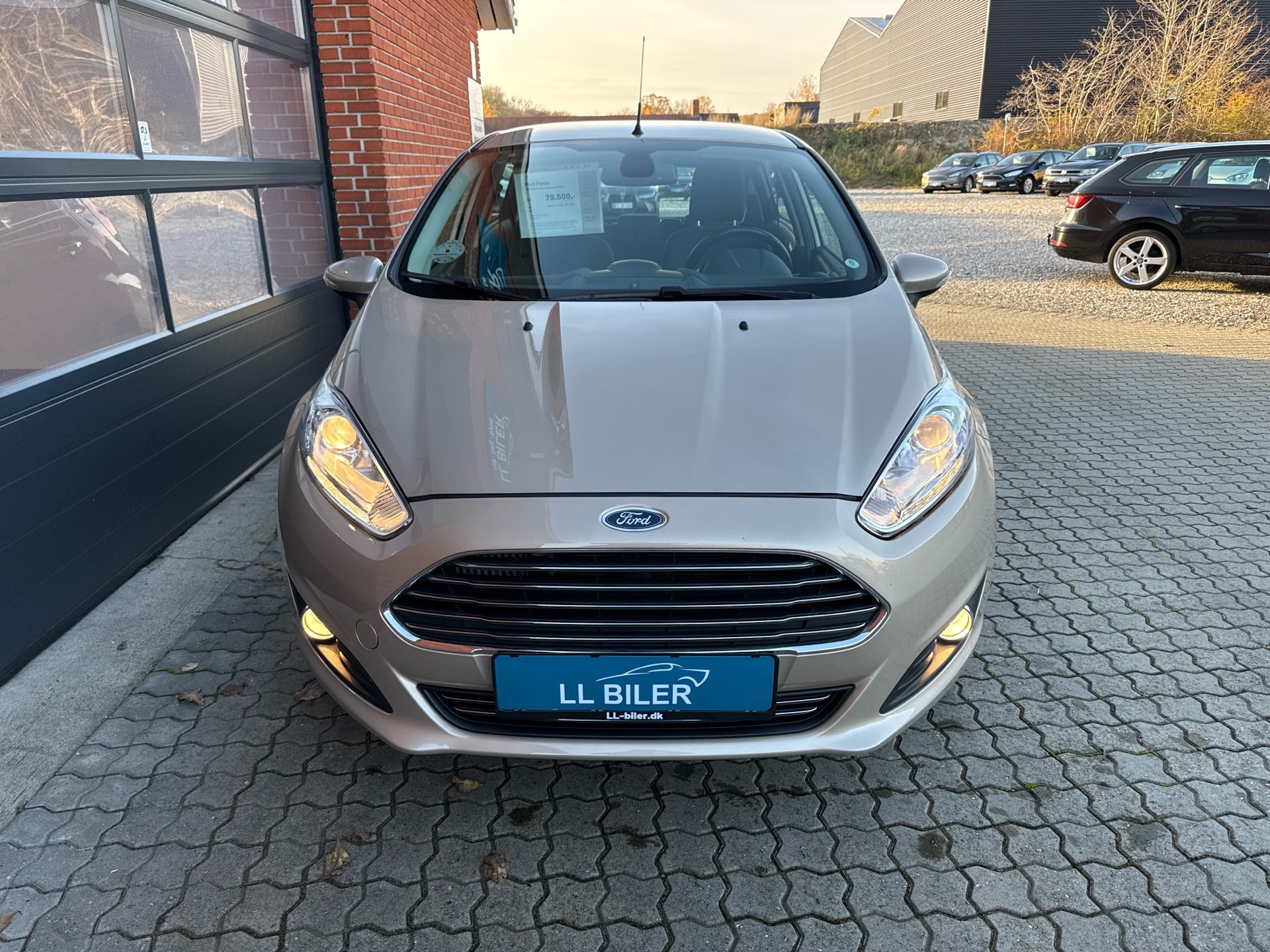 Billede af Ford Fiesta 1,0 EcoBoost Titanium Start/Stop 100HK 5d