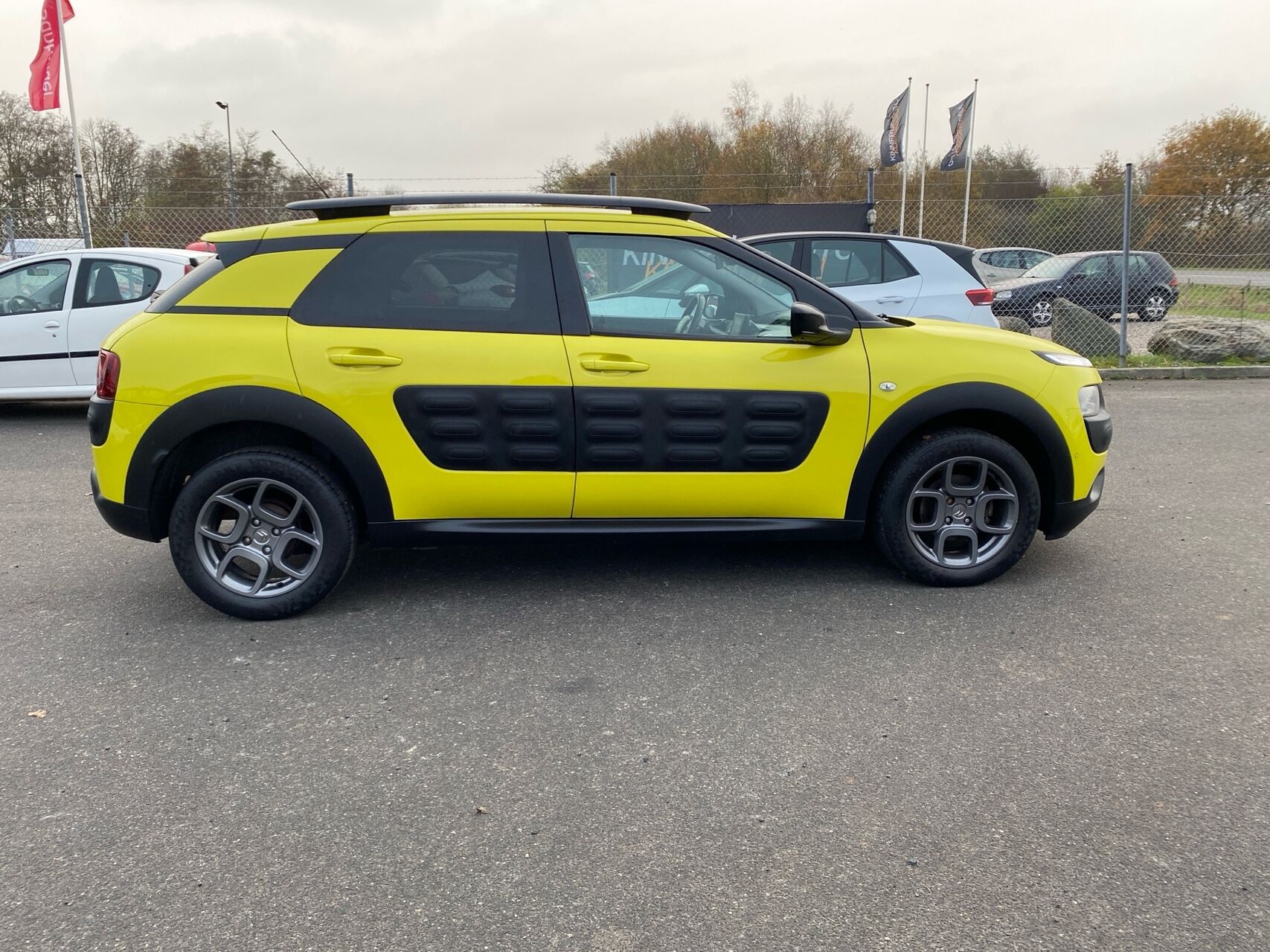 Billede af Citroën C4 Cactus 1,6 e-HDi Shine ETG6 92HK 5d 6g Aut.