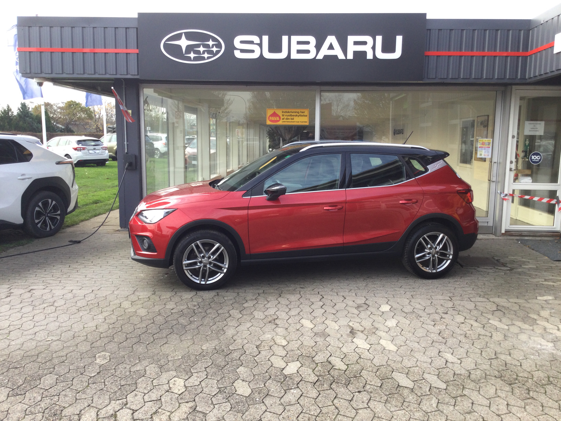 Billede af Seat Arona 1,0 TSI Xcellence Start/Stop DSG 115HK 5d 7g Aut.