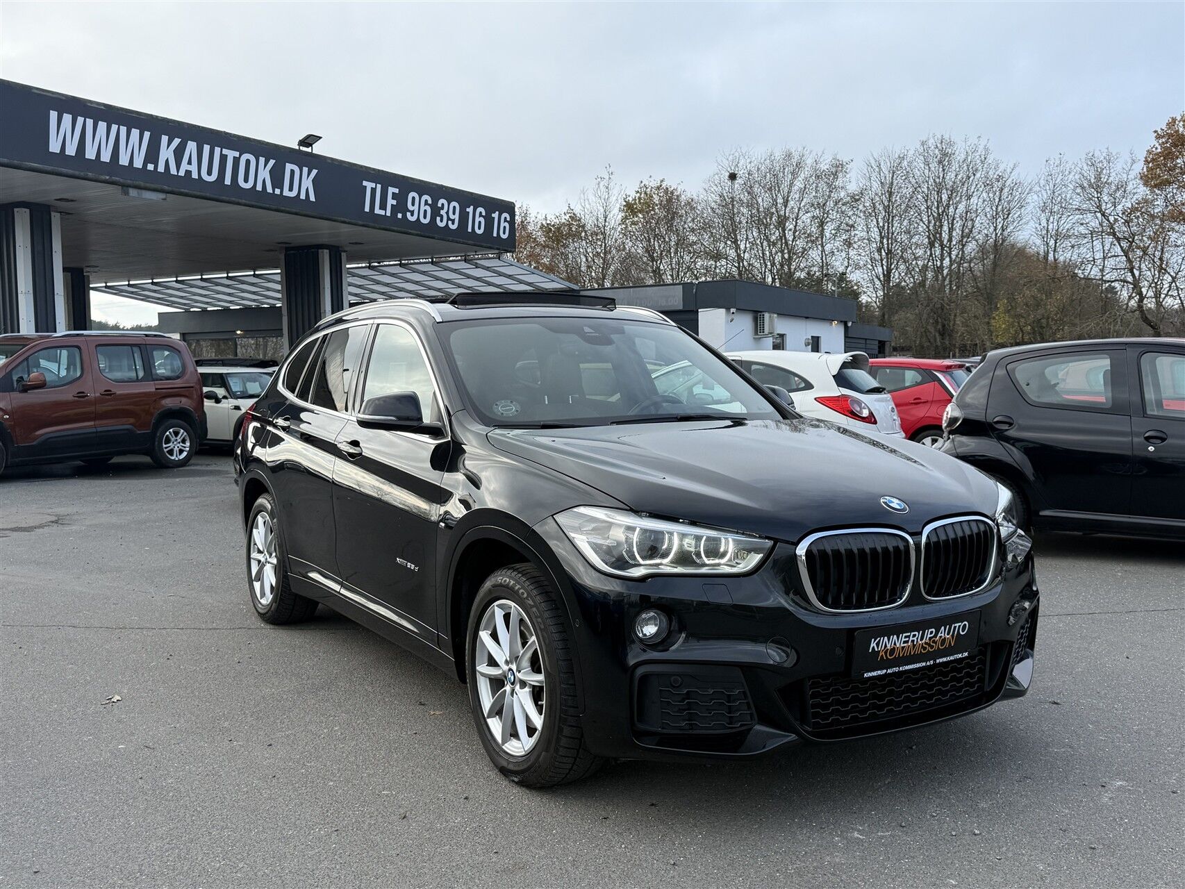 Billede af BMW X1 25D 2,0 D XDrive 231HK 5d 8g Aut.
