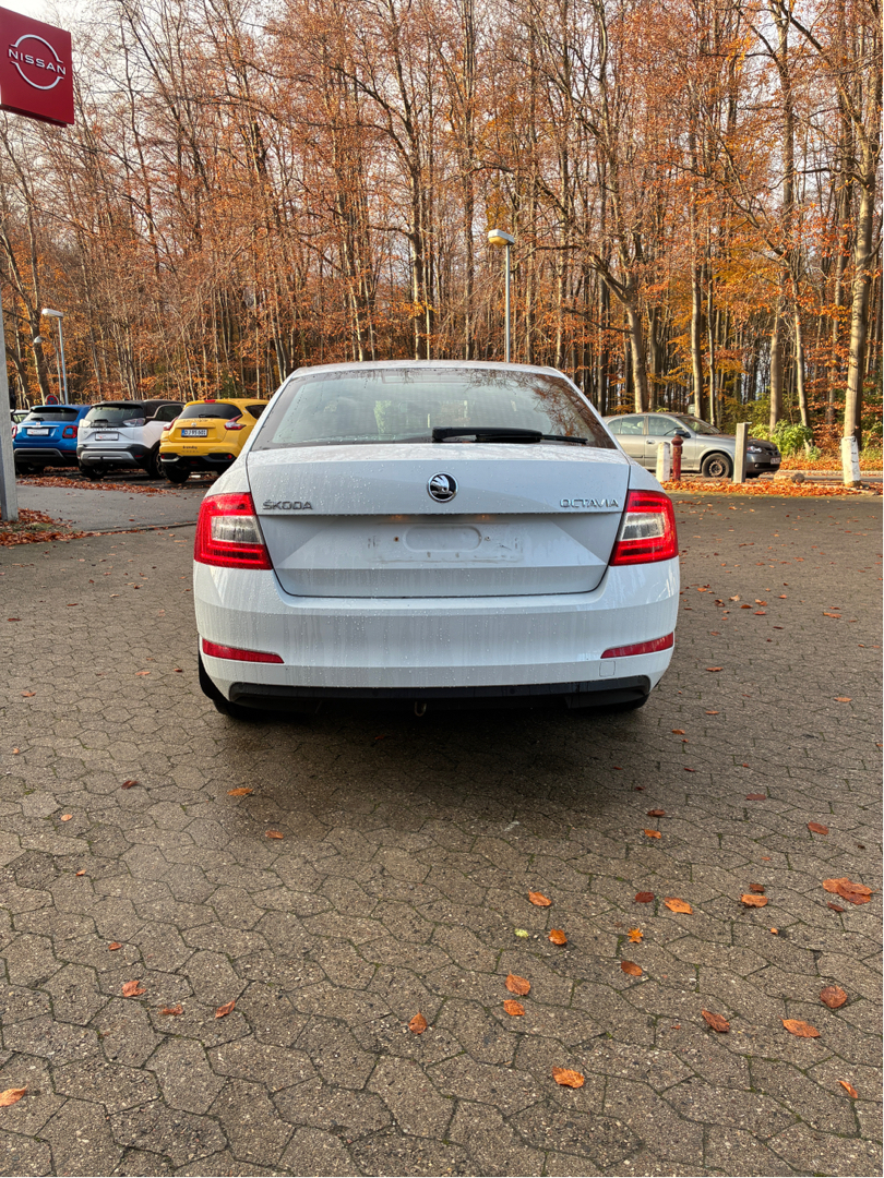 Billede af Skoda Octavia 1,4 TSI Elegance 140HK 5d 6g