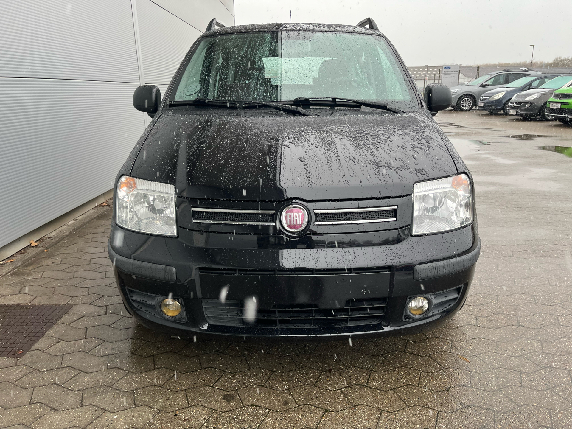 Billede af Fiat Panda 1,2 Dynamic 60HK 5d Aut.