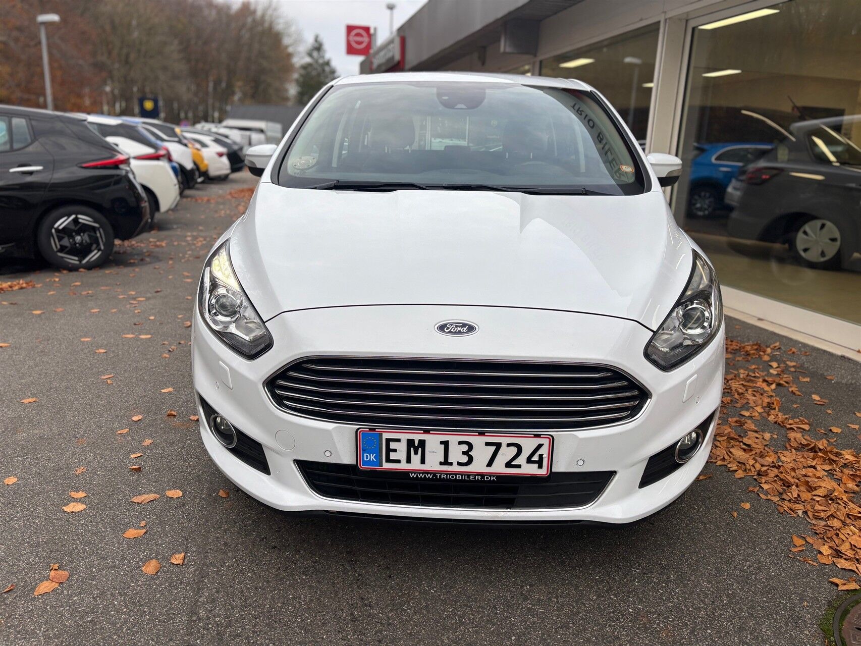 Billede af Ford S-Max 2,0 EcoBlue Titanium 190HK 8g Aut.