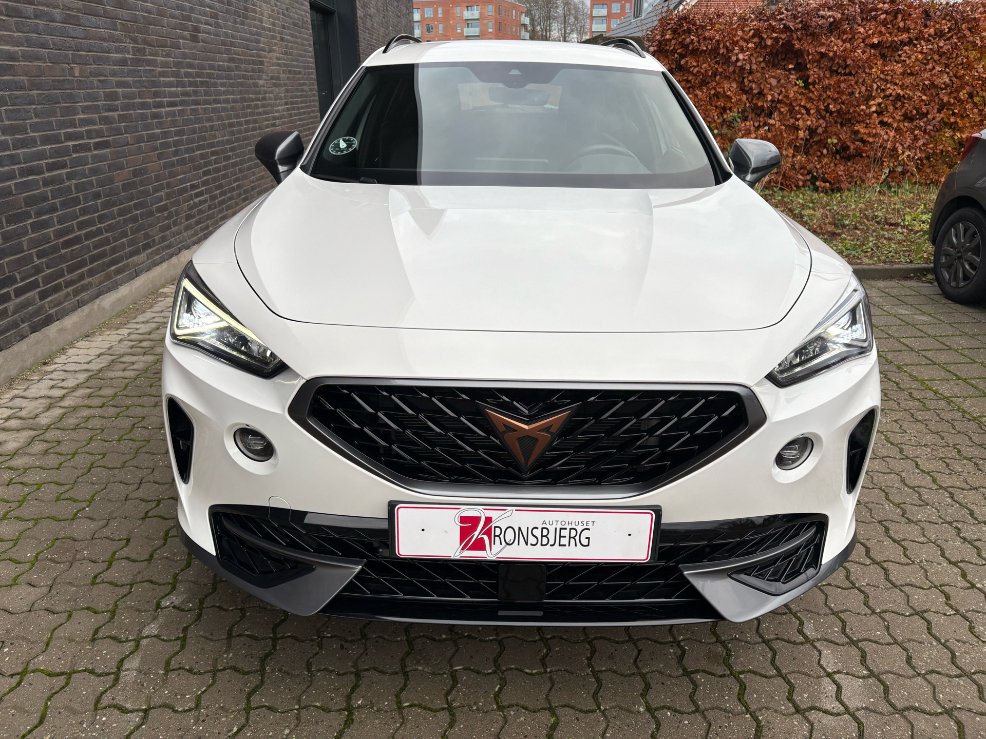 Billede af Cupra Formentor 1,5 TSI DSG 150HK 5d 7g Aut.