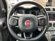 Billede af Fiat Panda 1,2 City Cross Start & Stop 69HK 5d