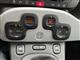 Billede af Fiat Panda 1,2 City Cross Start & Stop 69HK 5d
