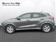 Billede af Ford Puma 1,0 EcoBoost Hybrid ST-Line 125HK 5d 6g