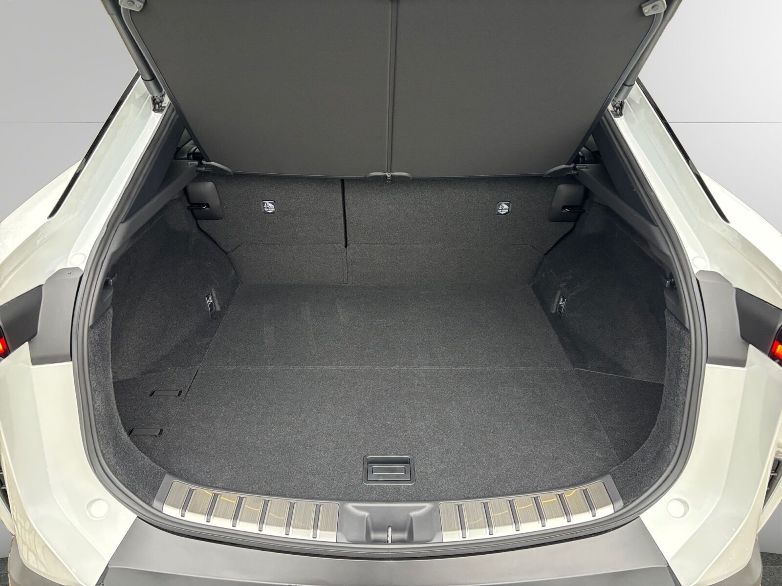 Billede af Lexus RZ 300e EL Executive 204HK 4d Aut.