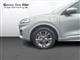 Billede af Ford Kuga 2,5 Plugin-hybrid ST-Line X CVT 225HK 5d Trinl. Gear
