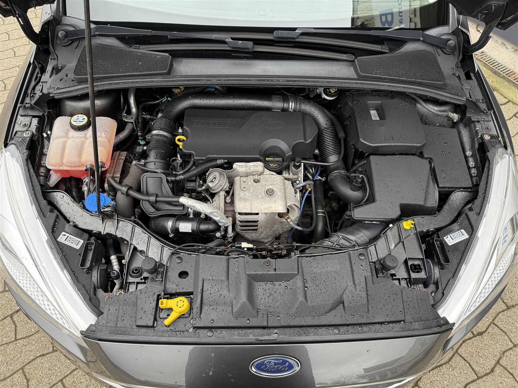 Billede af Ford Focus 1,0 EcoBoost Business 125HK Stc 6g