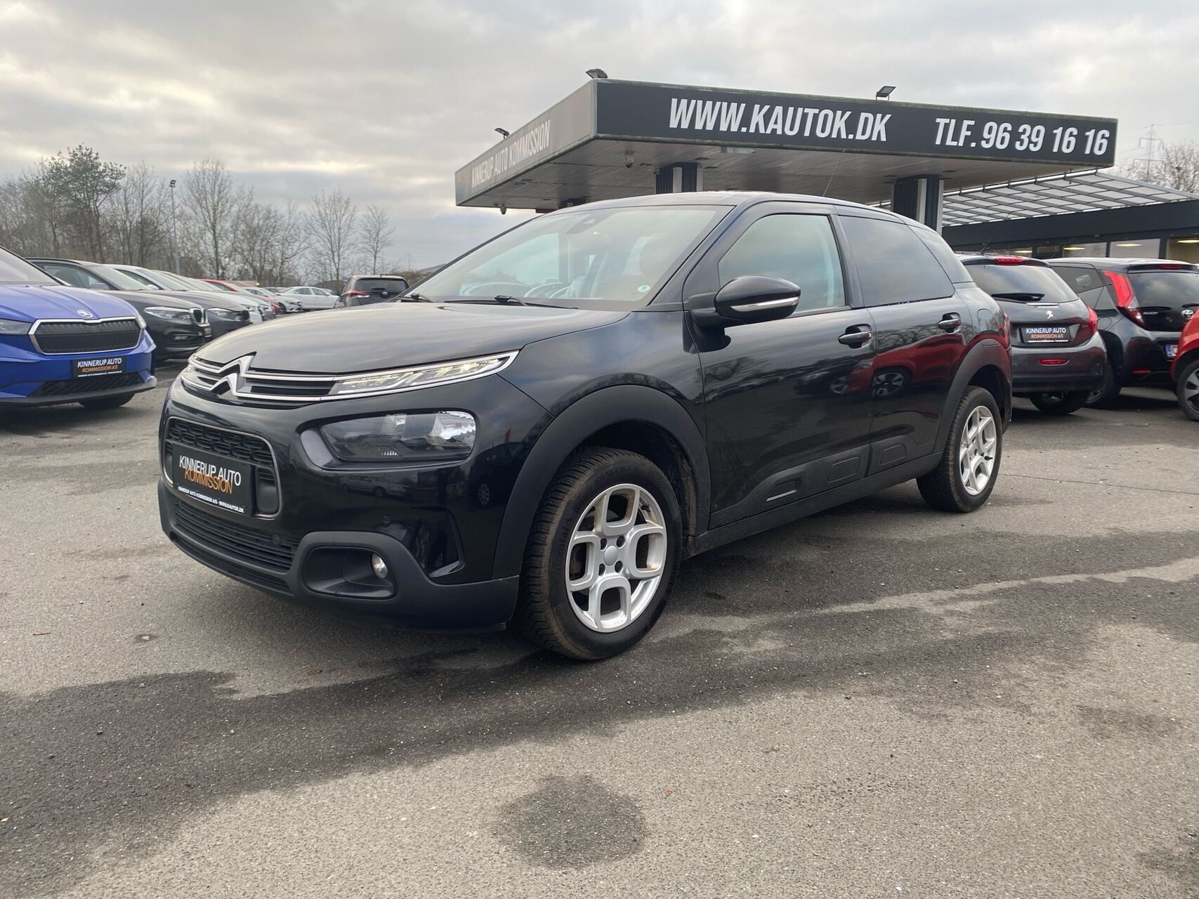 Billede af Citroën C4 Cactus 1,6 Blue HDi Skyline start/stop 100HK 5d