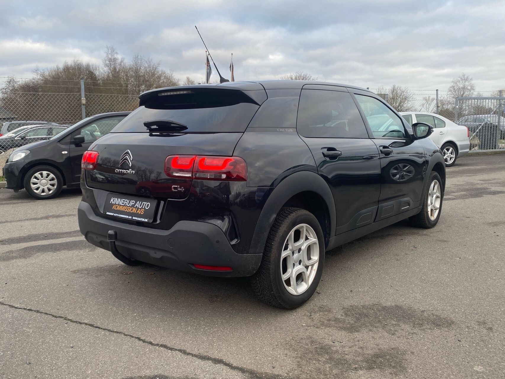 Billede af Citroën C4 Cactus 1,6 Blue HDi Skyline start/stop 100HK 5d