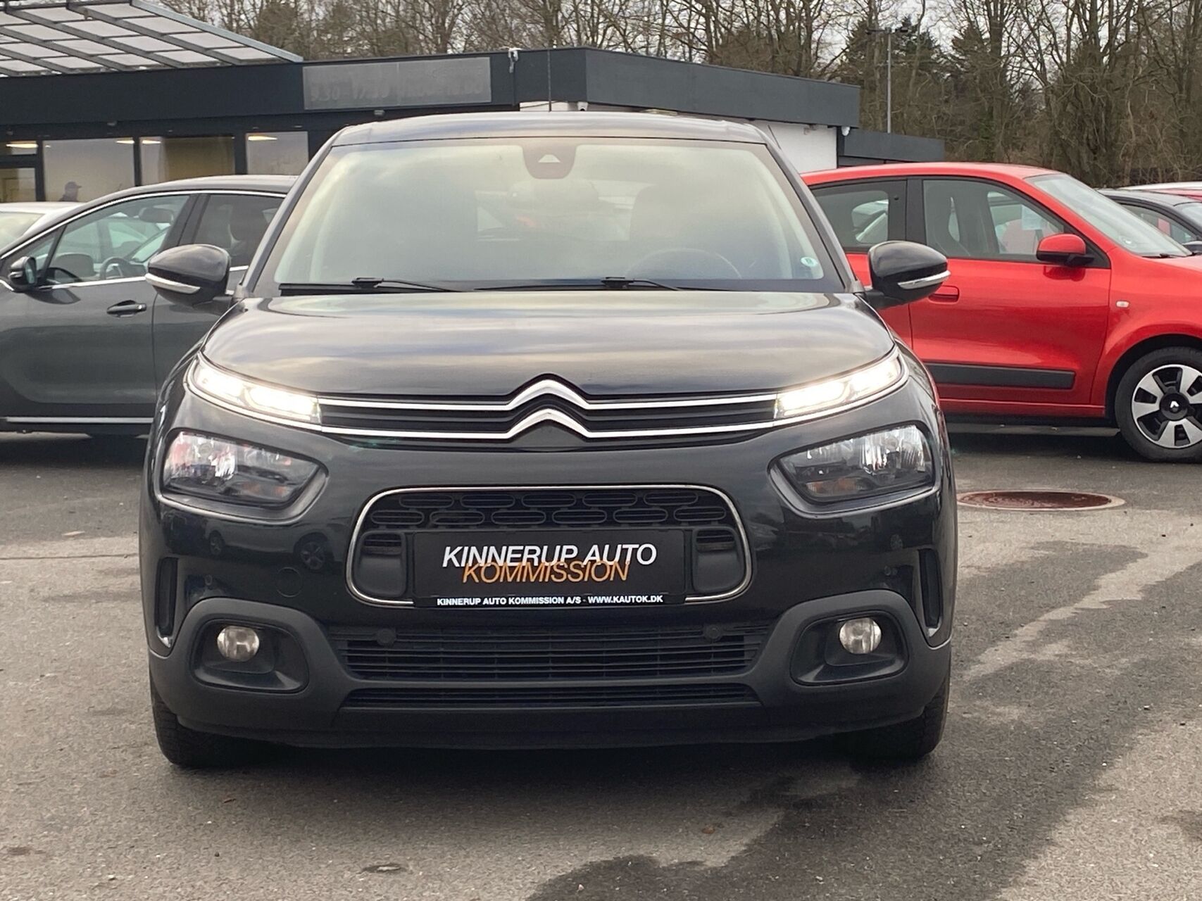 Billede af Citroën C4 Cactus 1,6 Blue HDi Skyline start/stop 100HK 5d
