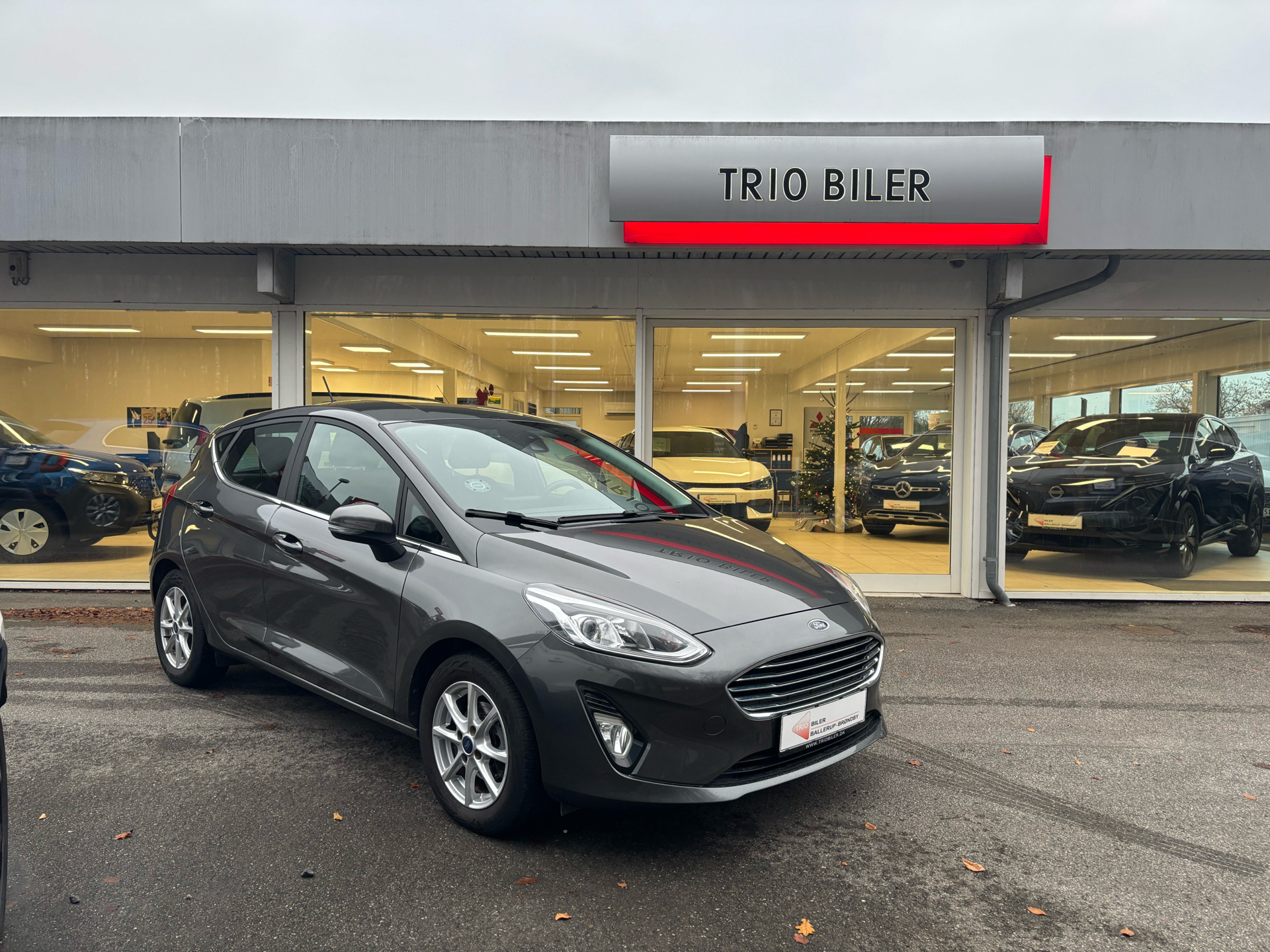 Billede af Ford Fiesta 1,0 EcoBoost Hybrid Titanium 125HK 5d