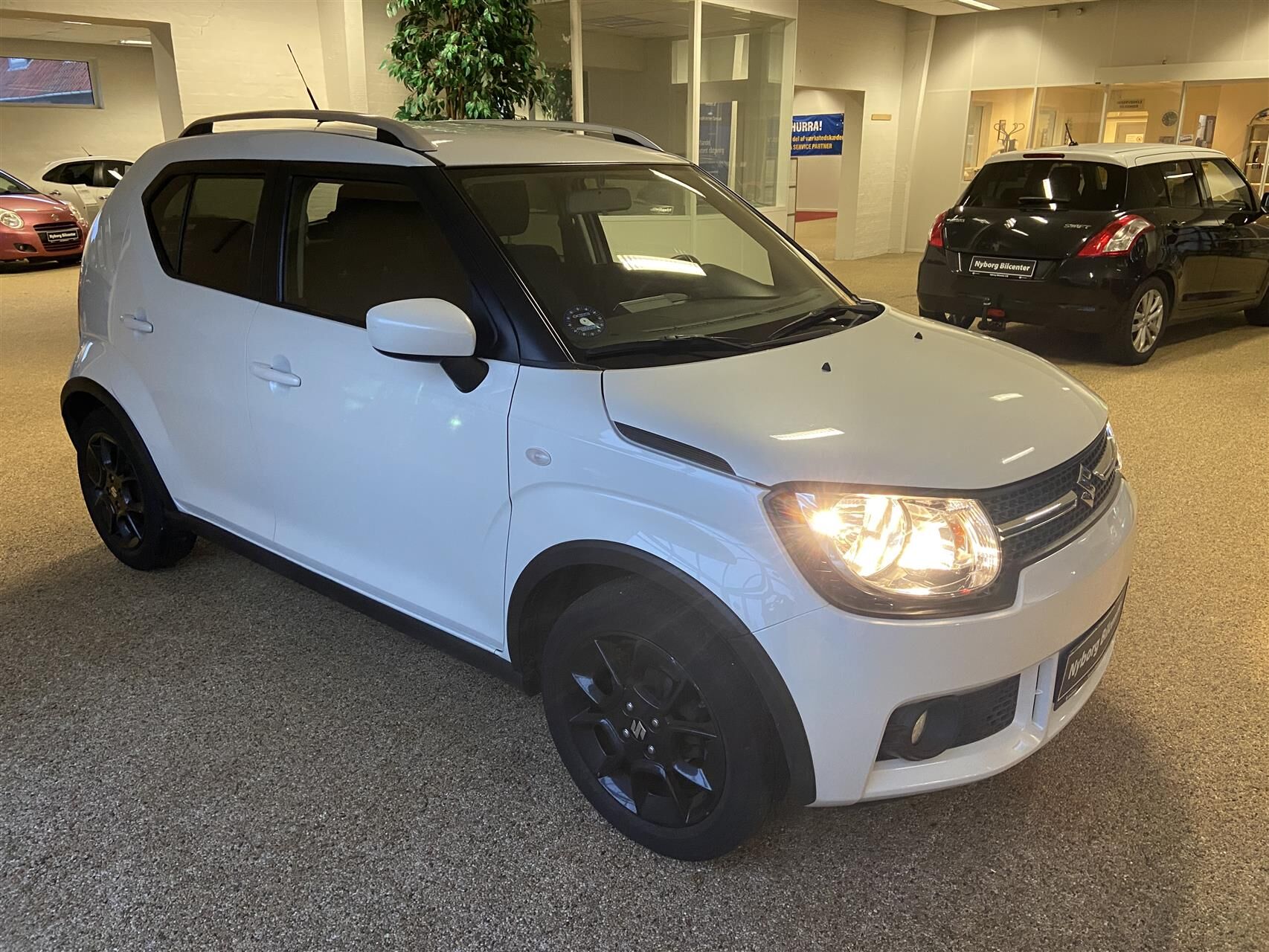 Billede af Suzuki Ignis 1,2 Dualjet 16V Active 90HK 5d