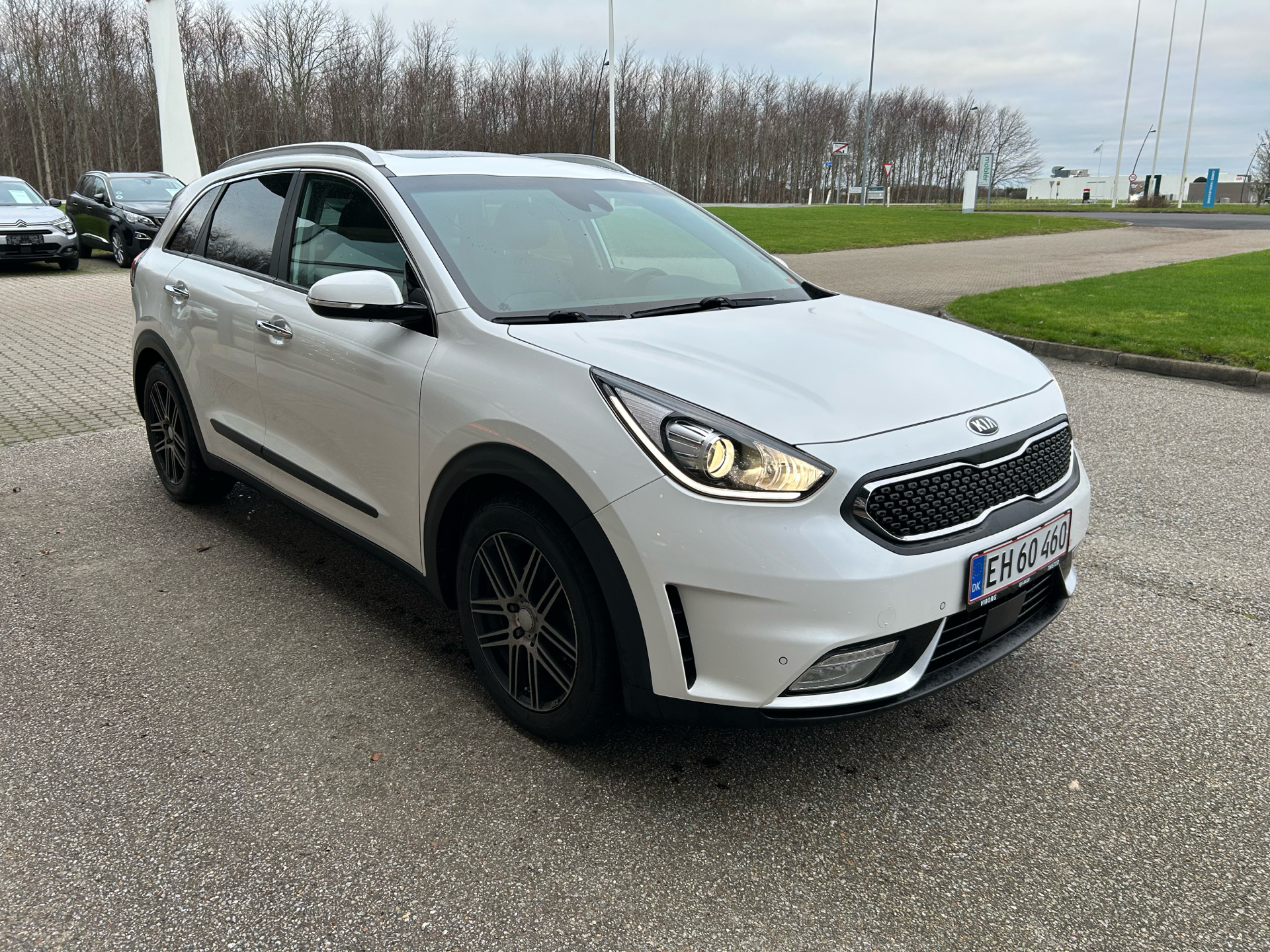 Billede af Kia Niro 1,6 GDI HEV  Hybrid Advance DCT 141HK 5d 6g Aut.