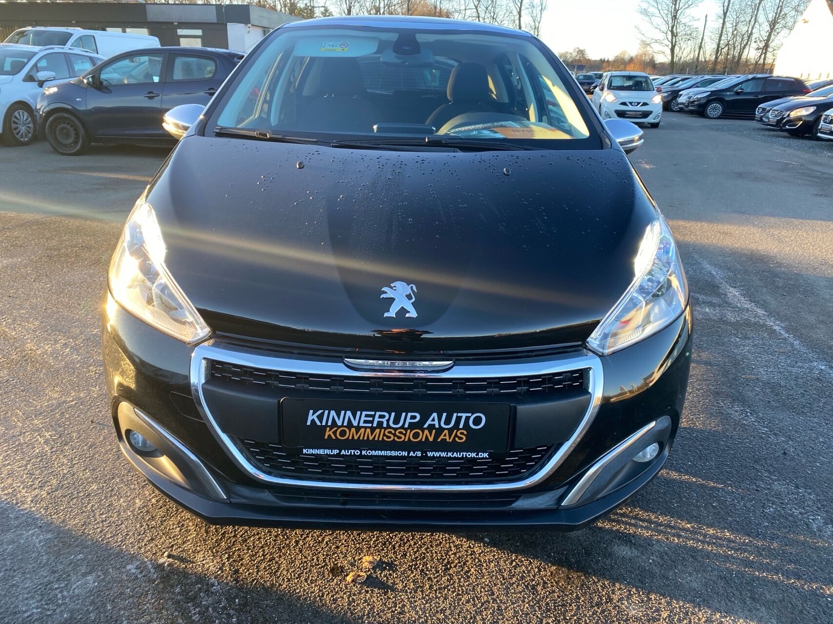 Billede af Peugeot 208 1,6 BlueHDi Desire Sky 100HK 5d