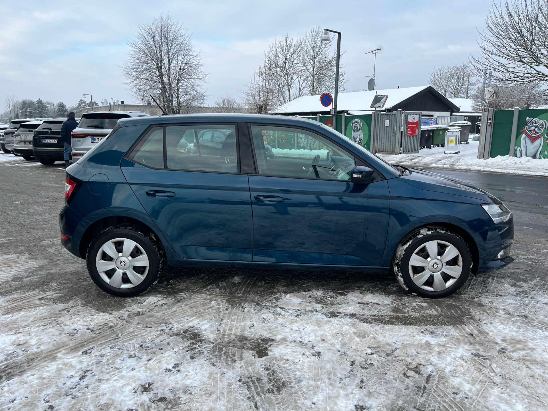 Billede af Skoda Fabia 1,0 TSI Ambition DSG 95HK 5d 7g Aut.