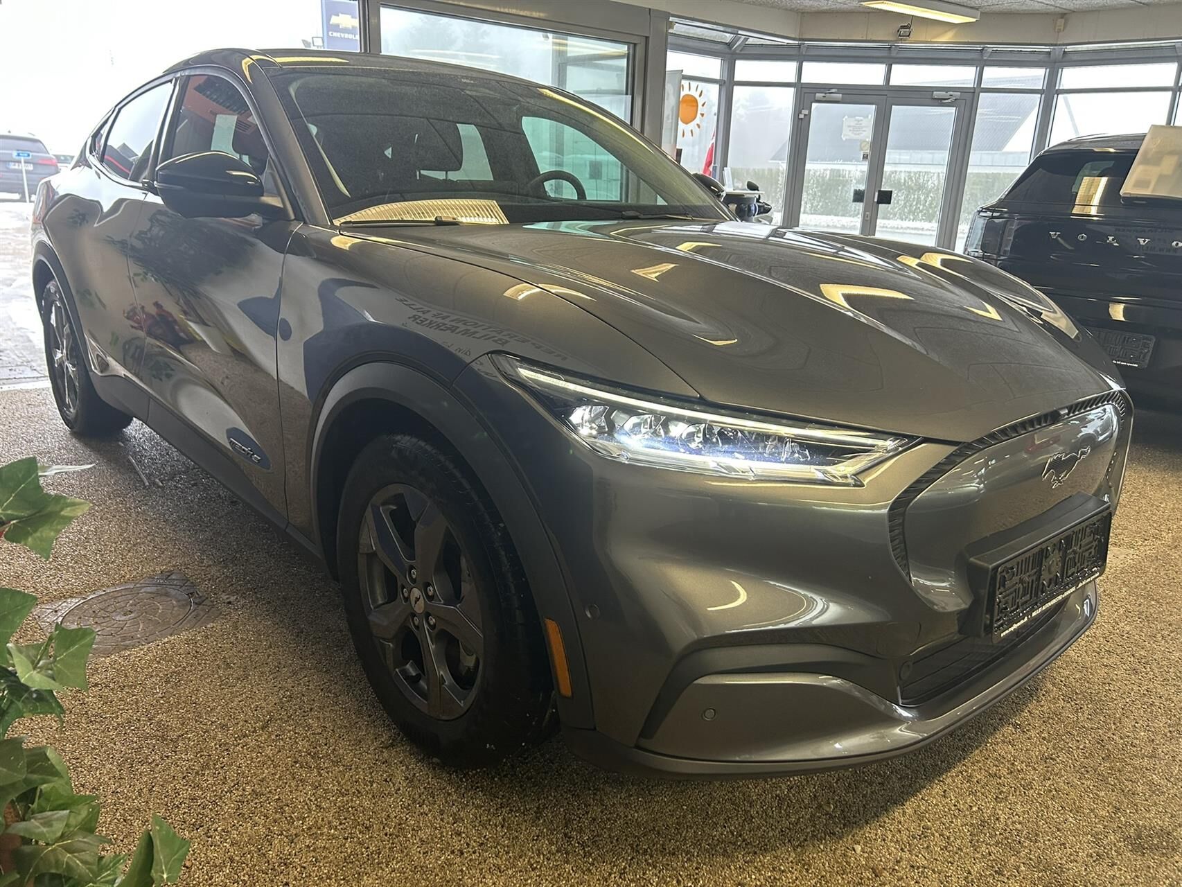 Billede af Ford Mustang Mach-E EL SR 269HK 5d Aut.