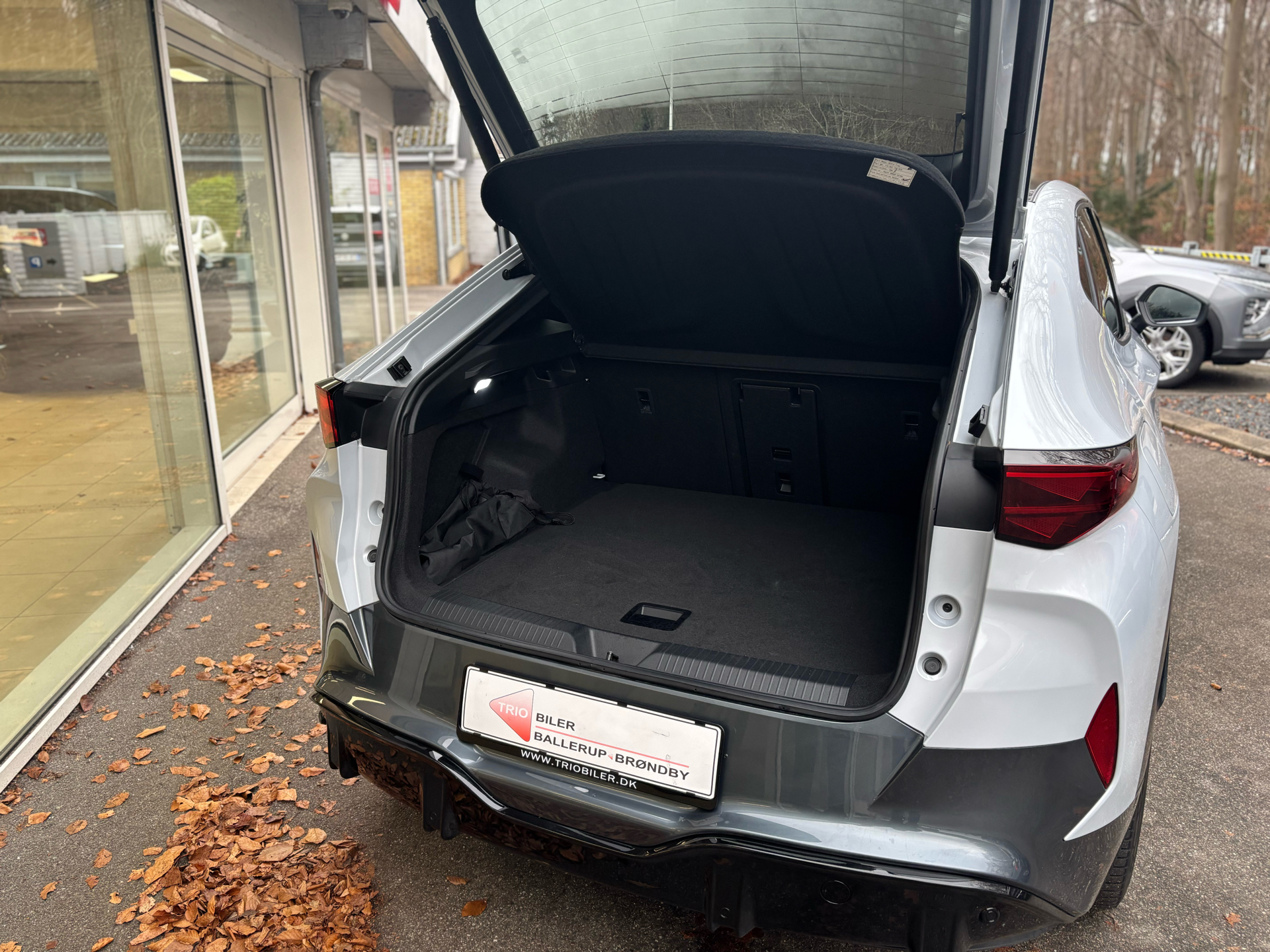 Billede af Cupra Tavascan EL VZ Adrenaline 4X4 340HK 5d Aut.