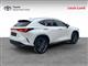 Billede af Lexus NX 450h+ 2,5 Plugin-hybrid Luxury 4WD 309HK 5d Trinl. Gear