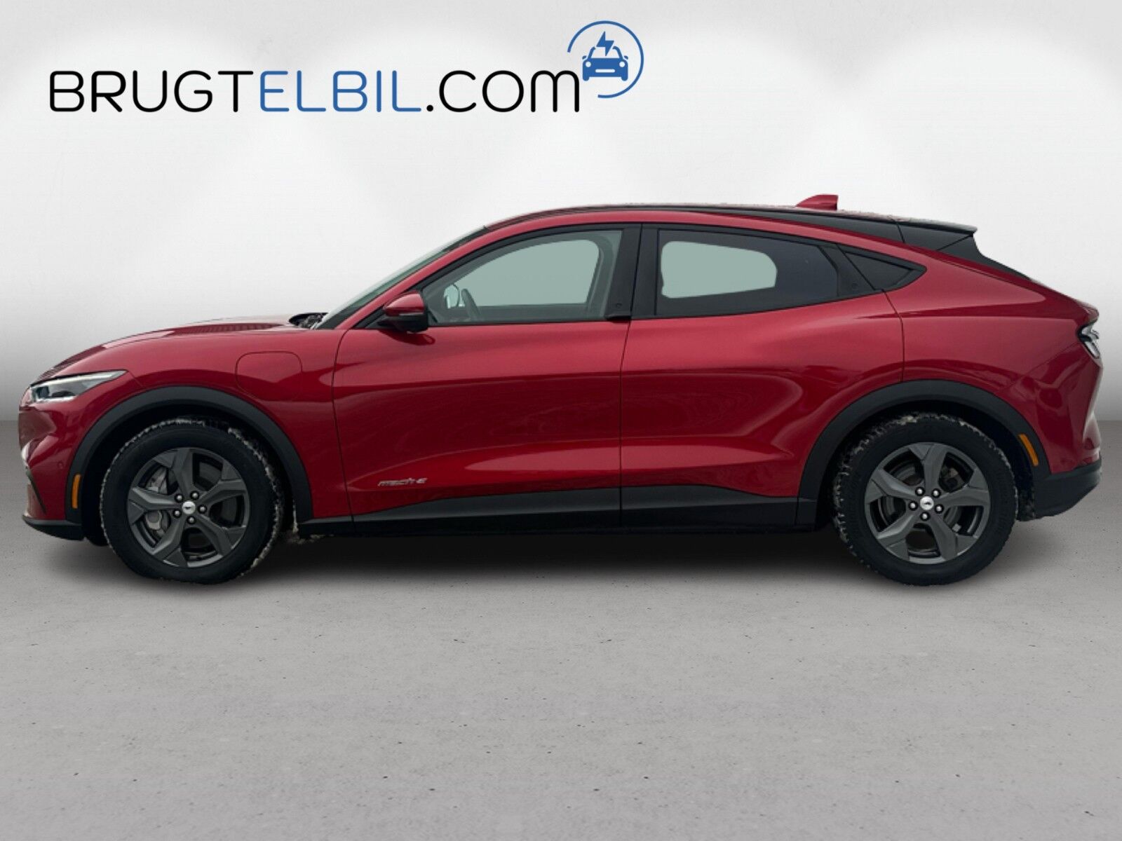 Billede af Ford Mustang Mach-E EL SR 269HK 5d Aut.