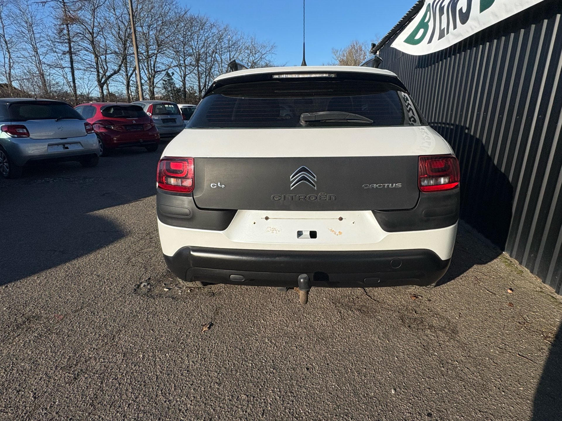 Billede af Citroën C4 Cactus 1,6 Blue HDi Shine Edition 100HK 5d