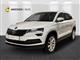 Billede af Skoda Karoq 1,5 TSI ACT Tour de France DSG 150HK 5d 7g Aut.