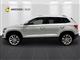 Billede af Skoda Karoq 1,5 TSI ACT Tour de France DSG 150HK 5d 7g Aut.