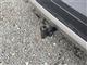 Billede af Skoda Elroq 85 EL 286HK 5d Aut.