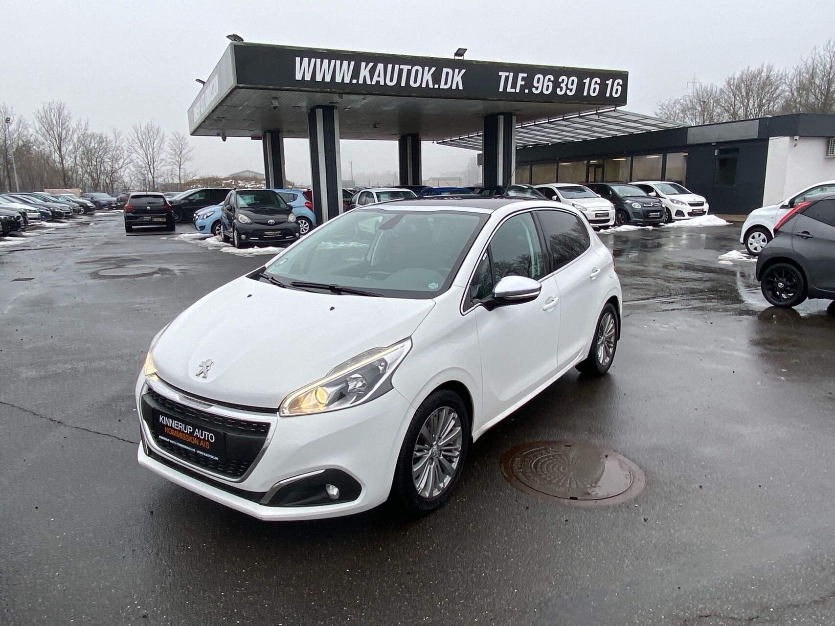 Billede af Peugeot 208 1,6 BlueHDi Desire Sky 100HK 5d