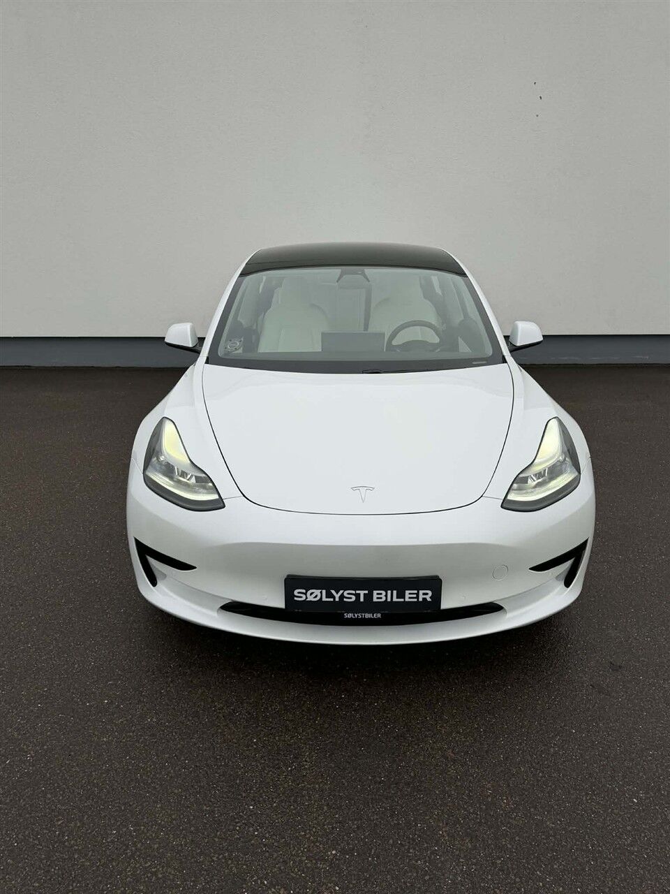 Billede af Tesla Model 3 EL Standard Range Plus 258HK Aut.