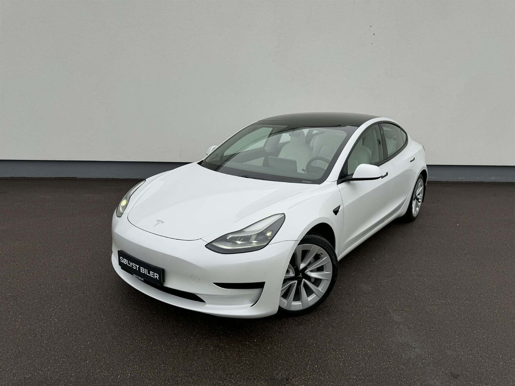 Billede af Tesla Model 3 EL Standard Range Plus 258HK Aut.