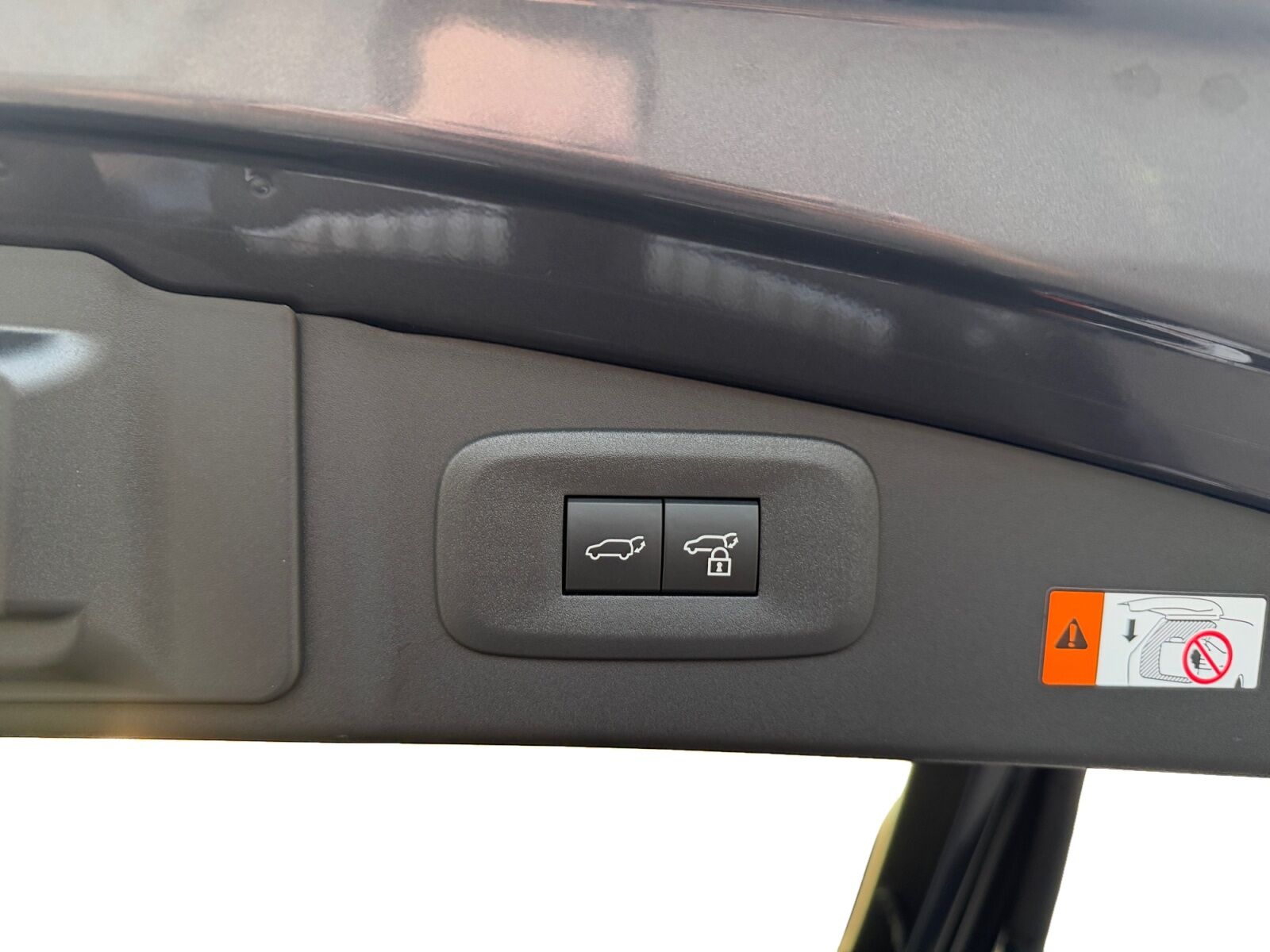 Billede af Lexus RZ 300e EL Executive 204HK 4d Aut.