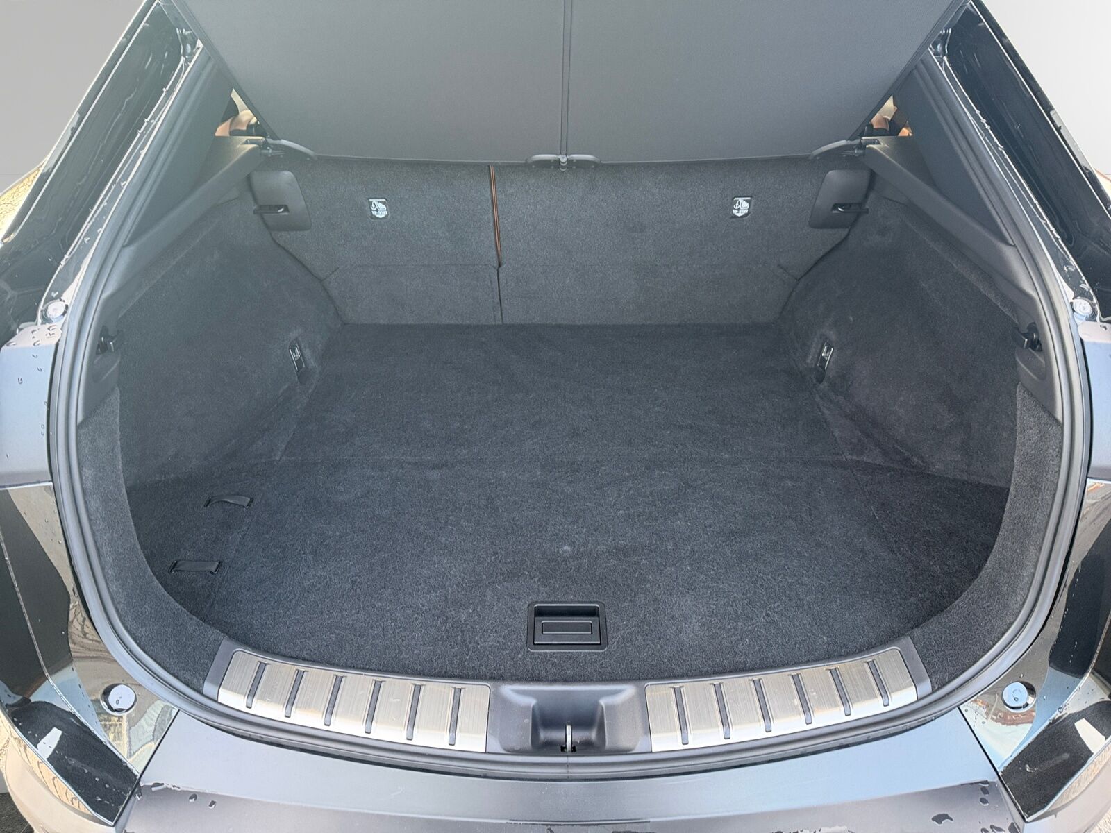 Billede af Lexus RZ 450e EL Executive Direct4 313HK 4d Aut.