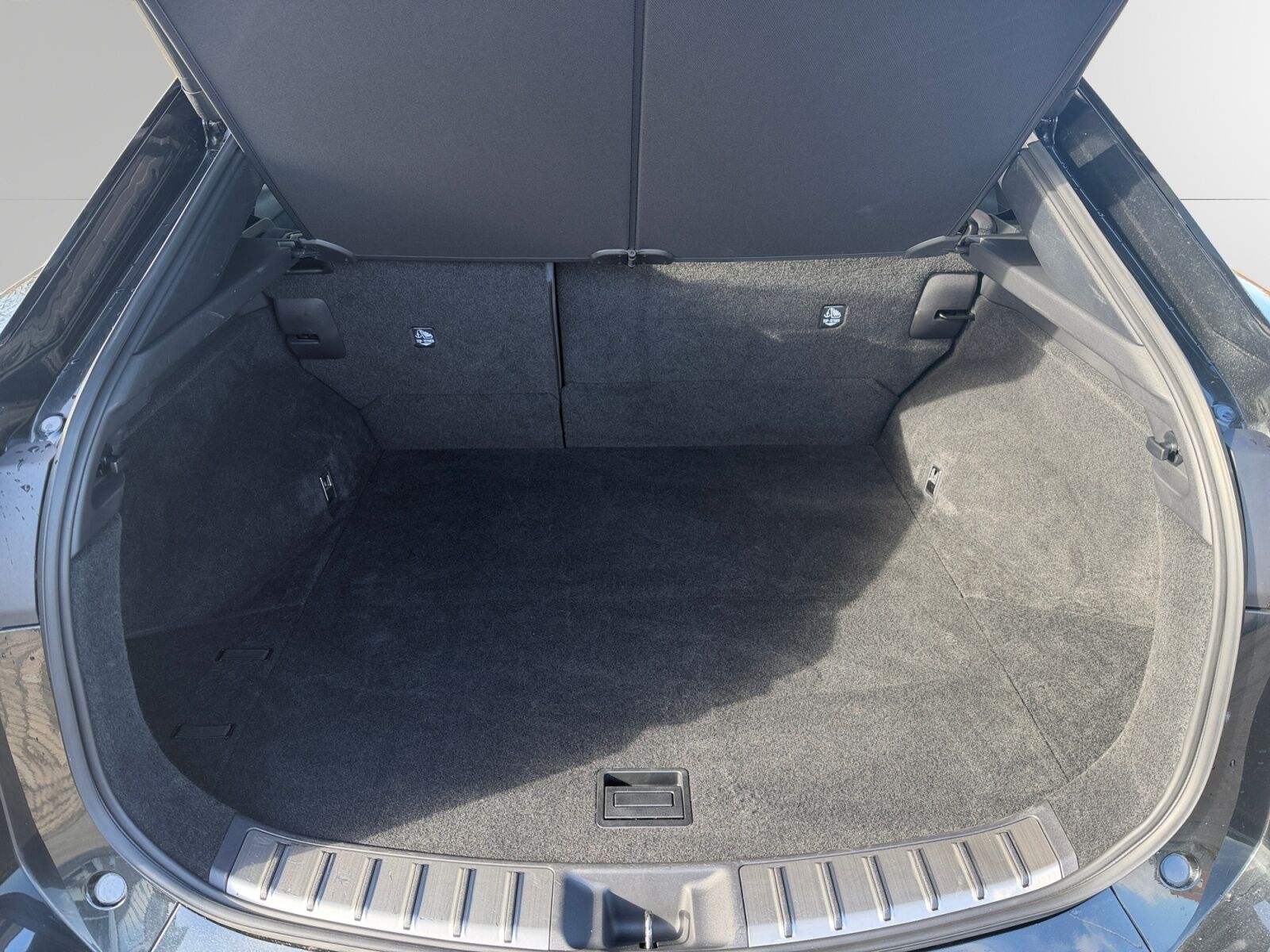 Billede af Lexus RZ 450e EL Luxury Direct4 313HK 4d Aut.