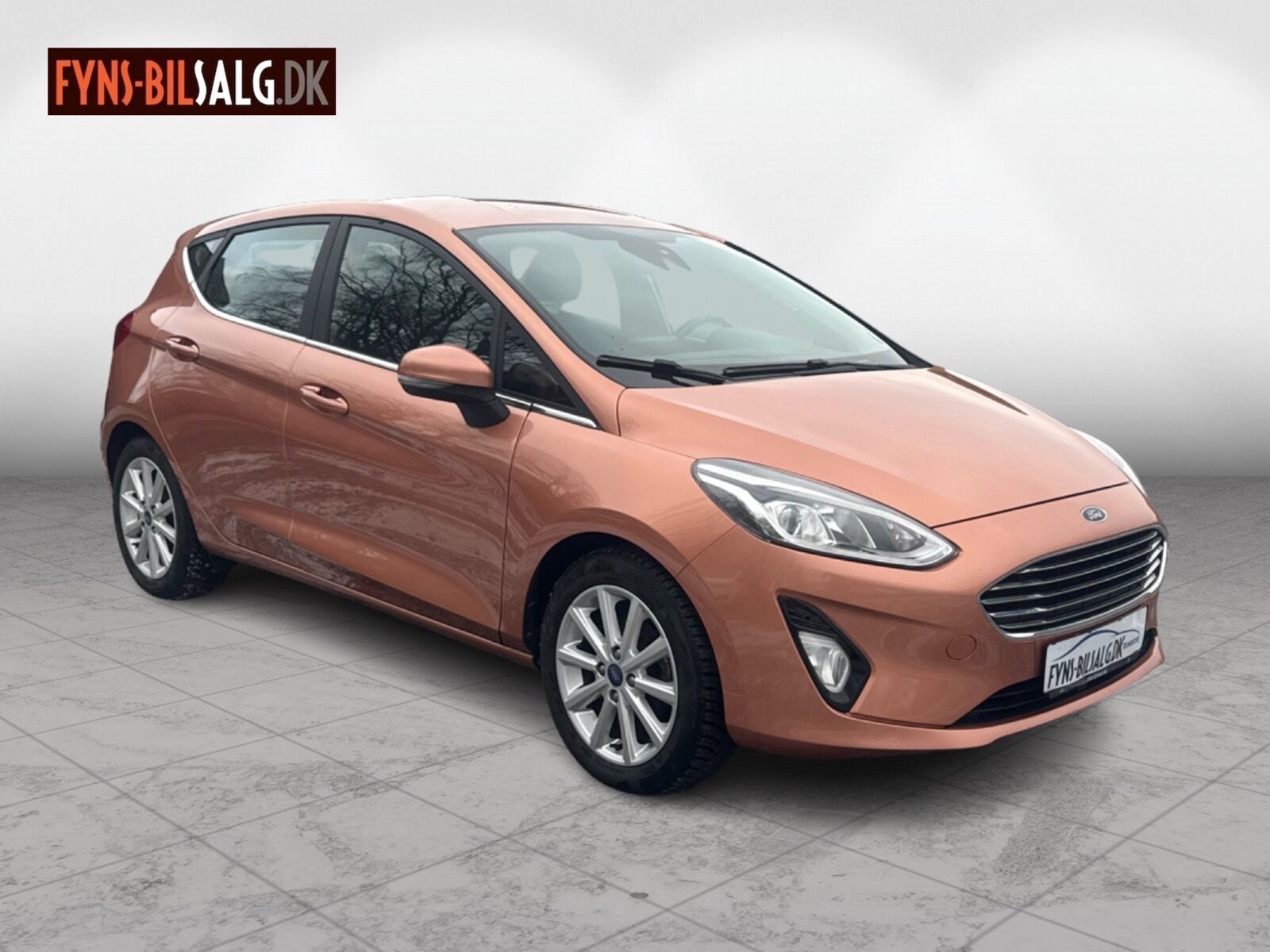 Billede af Ford Fiesta 1,0 EcoBoost Titanium Start/Stop 100HK 5d 6g