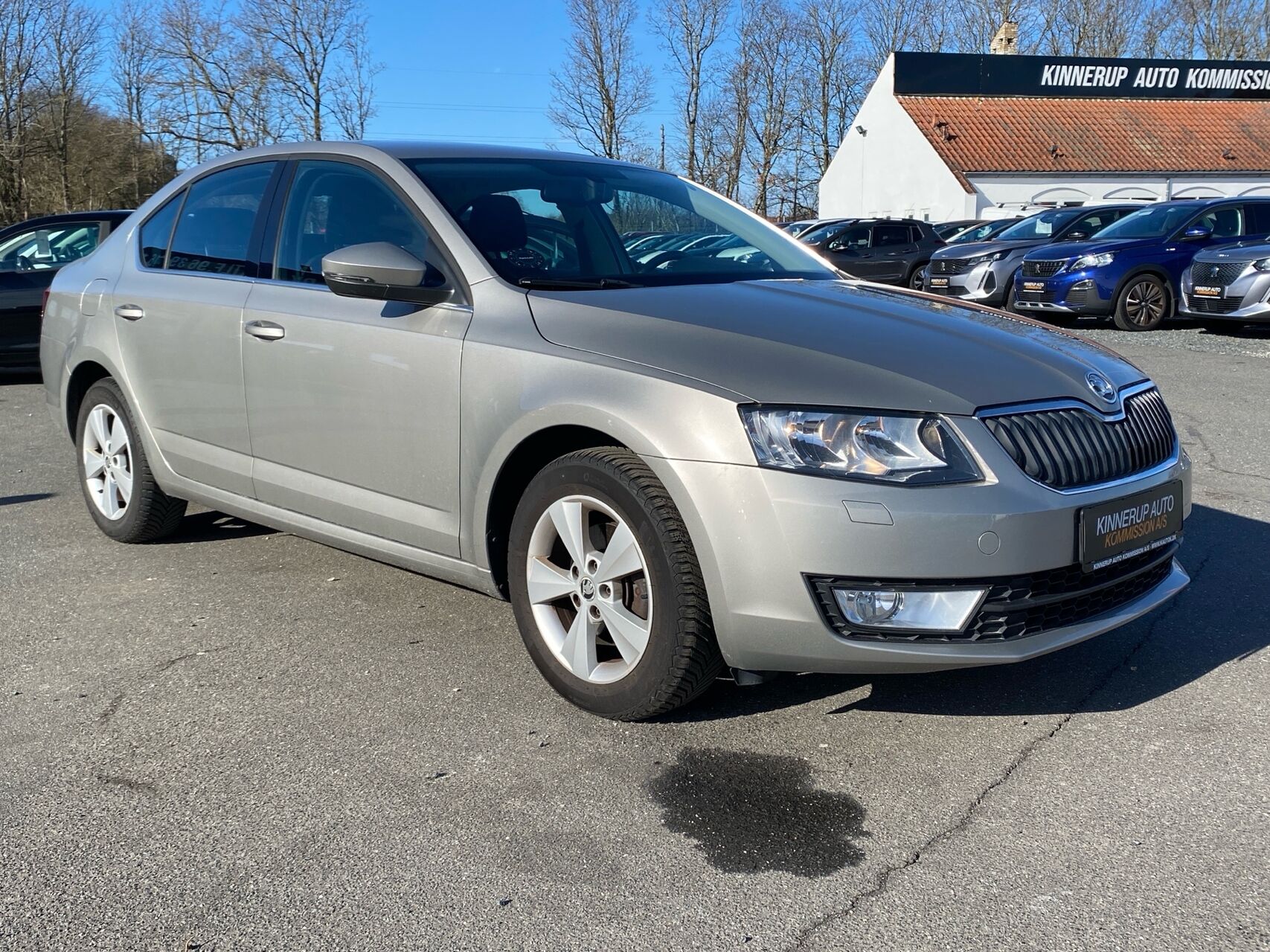 Billede af Skoda Octavia 1,4 TSI Elegance DSG 140HK 5d 7g Aut.