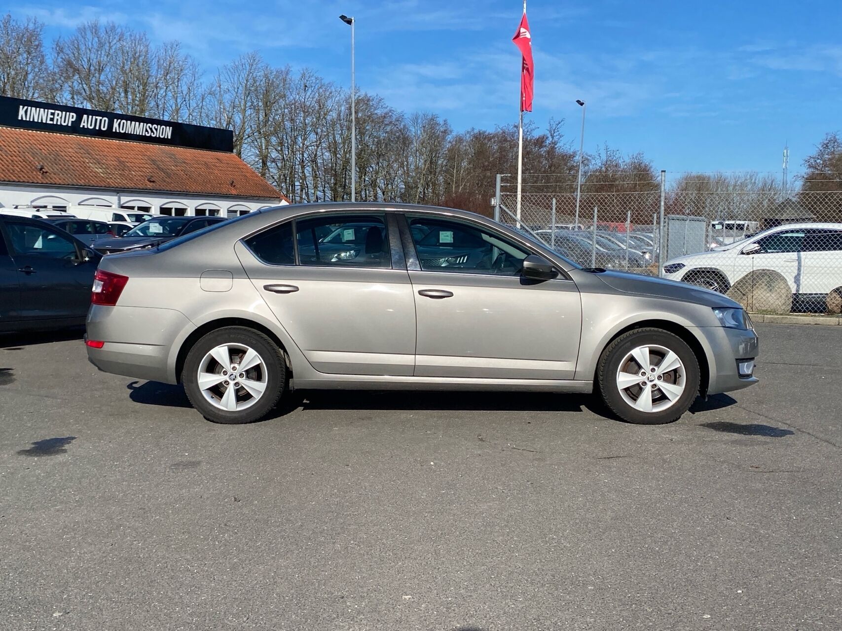 Billede af Skoda Octavia 1,4 TSI Elegance DSG 140HK 5d 7g Aut.