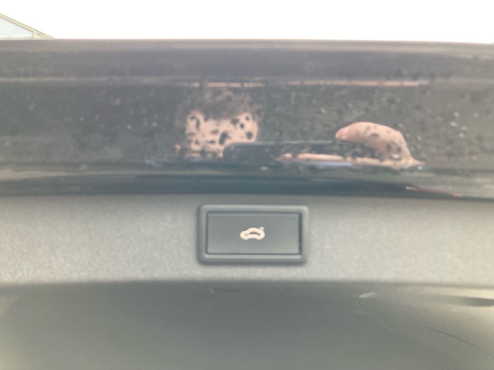 Billede af Skoda Enyaq 60 iV Premium 180HK 5d Aut.